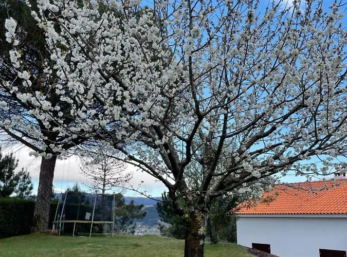 Casa Catita - Douro * Baião